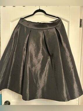 RN Studios by Ronnie Nicole A-Line Skirt